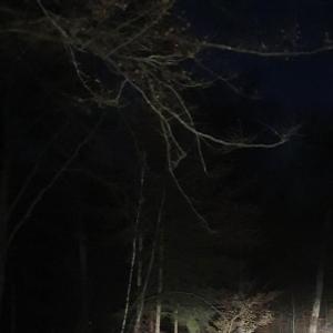 Waldparkplatz A7 Abfahrt Bad Brückenau