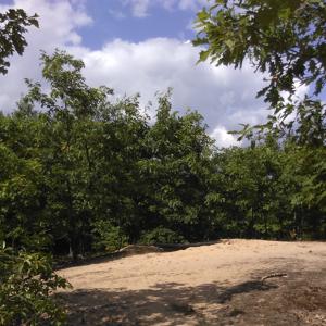 Parkplatz A67 Darmstadt-Mannheim nach Raststätte