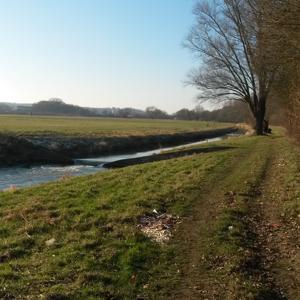 An der Else