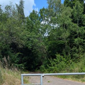 B104 zw. Friedrichsthal und Brüsewitz