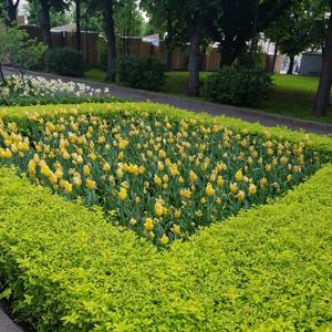 Körtingsdorferweg Badenstedt