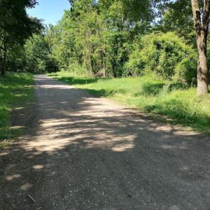 Ingolstadt Baggersee Parkplatz