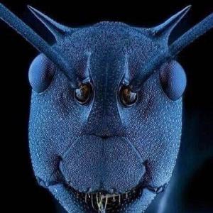 Park&Ride Europahalle