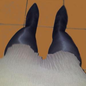 TvNylonStute