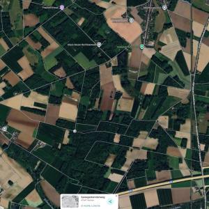 Parkplatz am Wald mit einem Verstecktes Feld