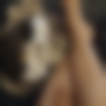 fülligeNaschkatze
