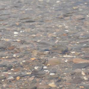 Rhein / Sieg FKK Sonnen und Spontan Sex haben