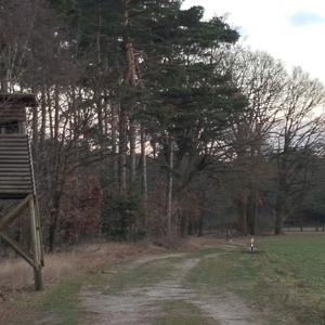 Am Kanal Bodenteicher Heide