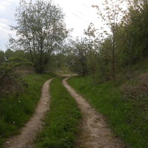 Hinter dem Lärmschutzwall