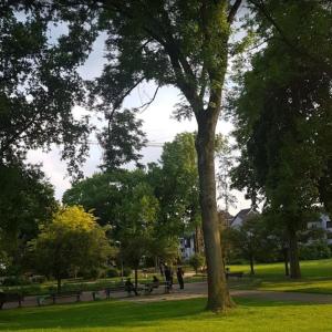 Gervinuspark Essen Frohnhausen