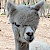 outdoor_069