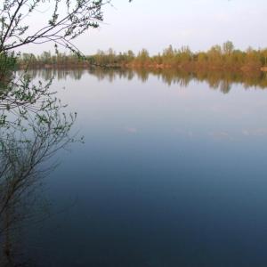 Binsfeld bei Speyer
