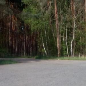 An der A24 bei Neustadt Glewe