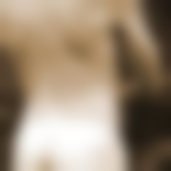 bull_seven