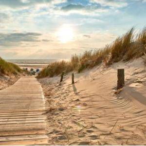 Ostfriesland Küste Emden bis Carolinensi