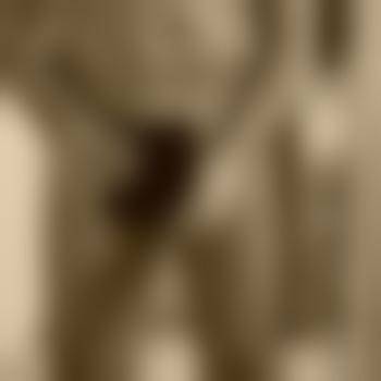 Happyman666