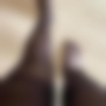 nylonfan1111