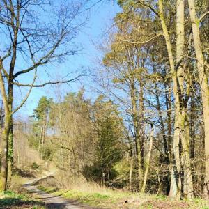 Detmold Donoperteich