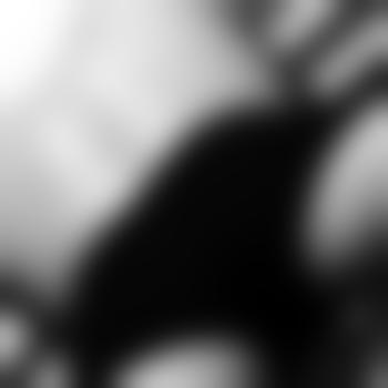 junger_hund20