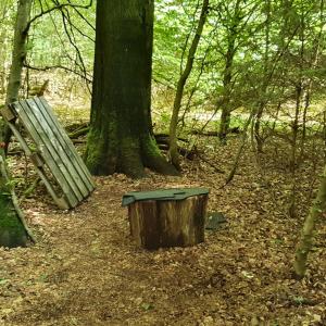 Sachsenwald