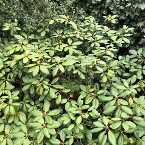 Parkplatz in Kalkar-Wissel