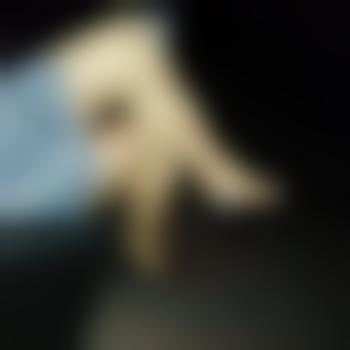 NylonHB