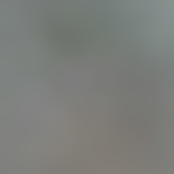 Spitzname