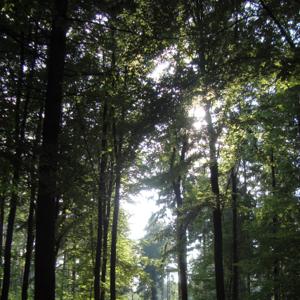 Frauen immer erwünscht