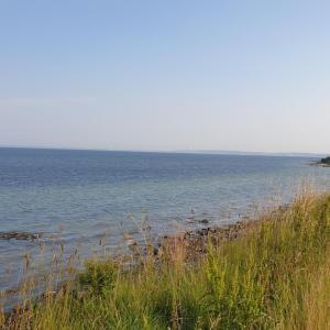 Sierksdorf Steilküste