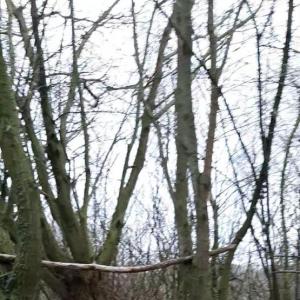 Parkplatz : Haan-West,A46 Richtung Düsseldorf