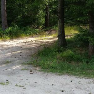 B3 Bergen Richtung Celle