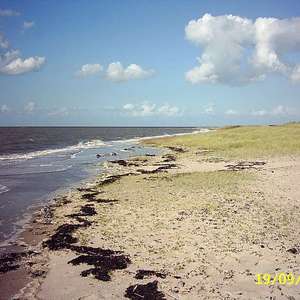 An der Knock / Emsstrand / Dollart