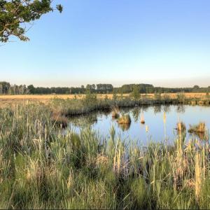 Parkplatz Torfmoor Hille