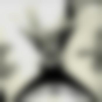 XL_Hengst_MUC