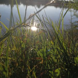 Marzlinger Weiher