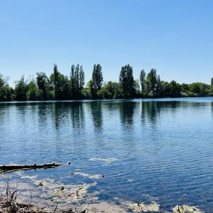 Binsfeld - Gönsedrecksee Kuhuntersee SSO