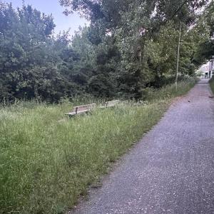 Wald - Am Lindener Hafen