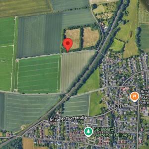 Uelzener Heide Feld