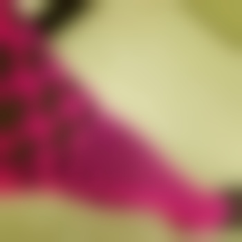 Nylonsub