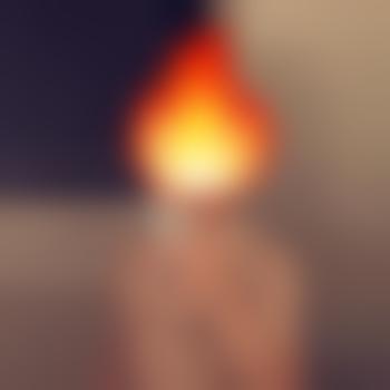 Marc-8482