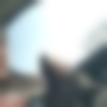 Perfektdomsdk38schaf