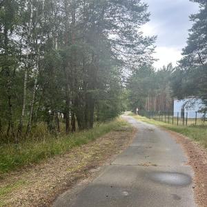 Waldweg Raststätte Walsleben