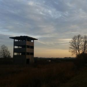 Aussichtsturm im Rehdener Geestmoor