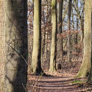 Stadthalle Wittingen im Wald