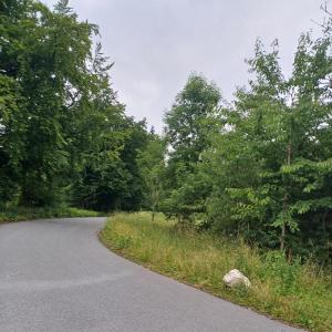 Stimm Stamm vor der Höhe