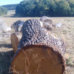 Wald parkplatz cölbe reddehausen