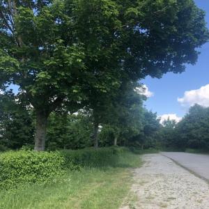 Parkplatz zwischen königsbrunn und merching