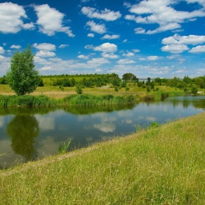 Am Henselgraben,Neuss-Allerheiligen(Rosellen)