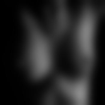 Herr_und_Lilli