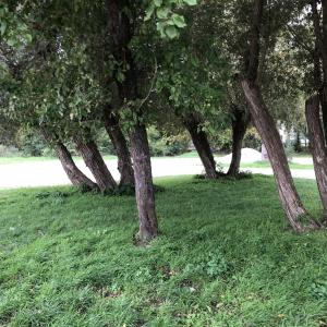 Parkplatz Baiersdorfer Weiher